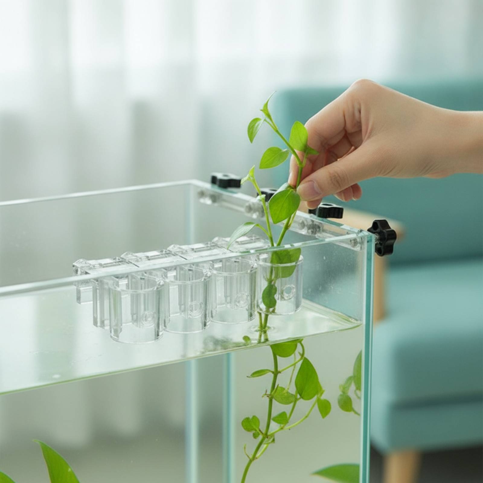 Aquarium Plant - 6 Peças de Suporte Hidropônico Transparente