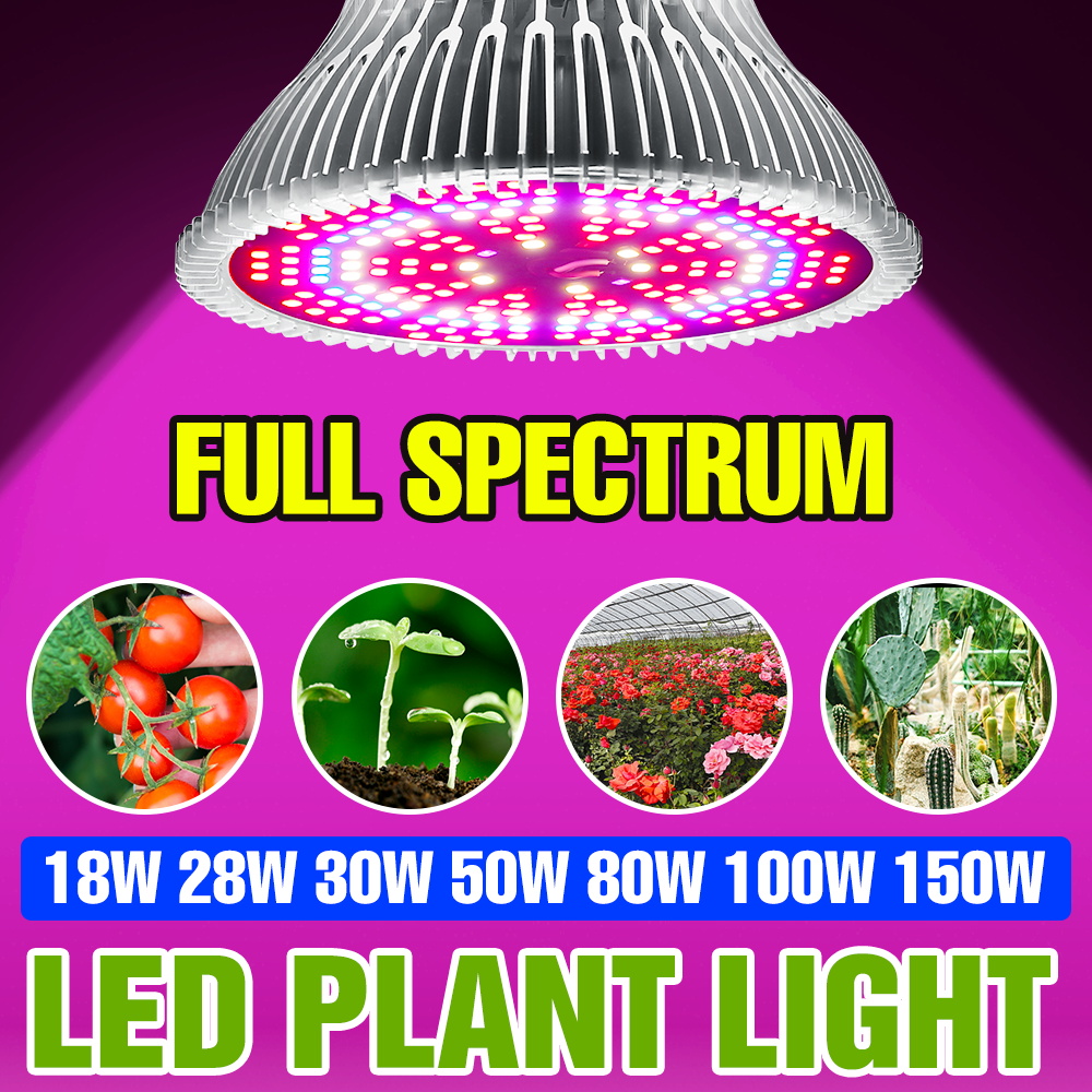 Aquarium Plant Root Tabs - Lâmpada LED de Crescimento de Plantas