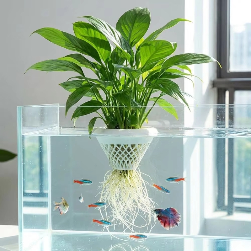 Planted Aquarium Jar - Vaso Flutuante para Plantas de Aquário,