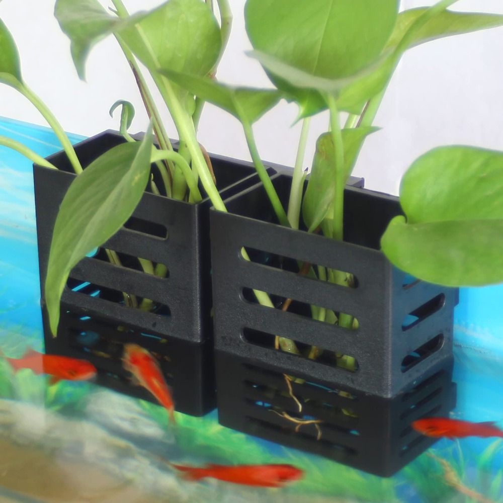 Emersed Plants Aquarium - Hidropônico Aquário Suporte De Planta De