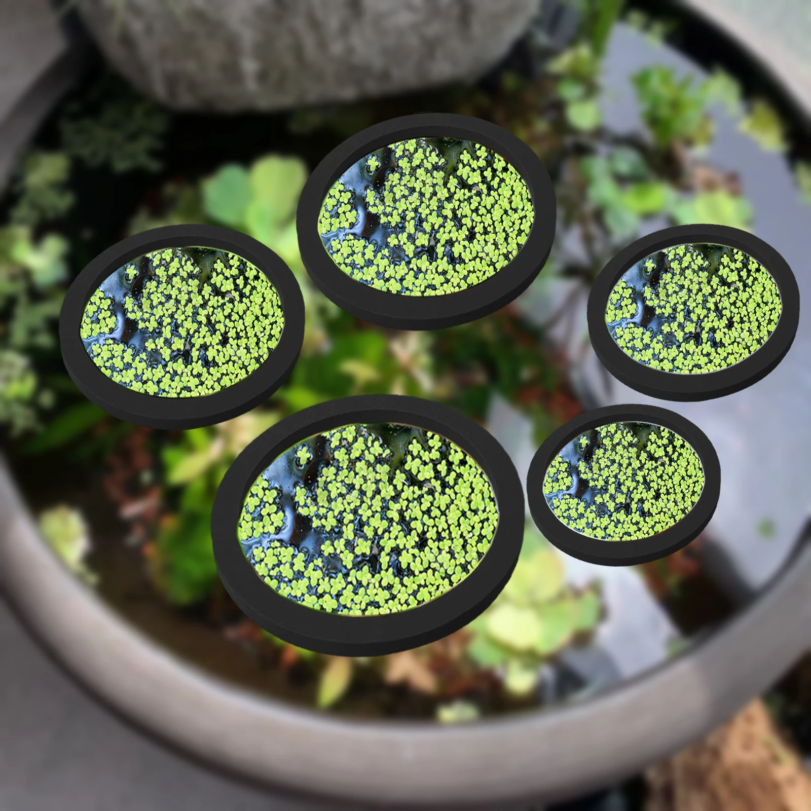 Aquarium Plant - 5 pçs eva anel de alimentação