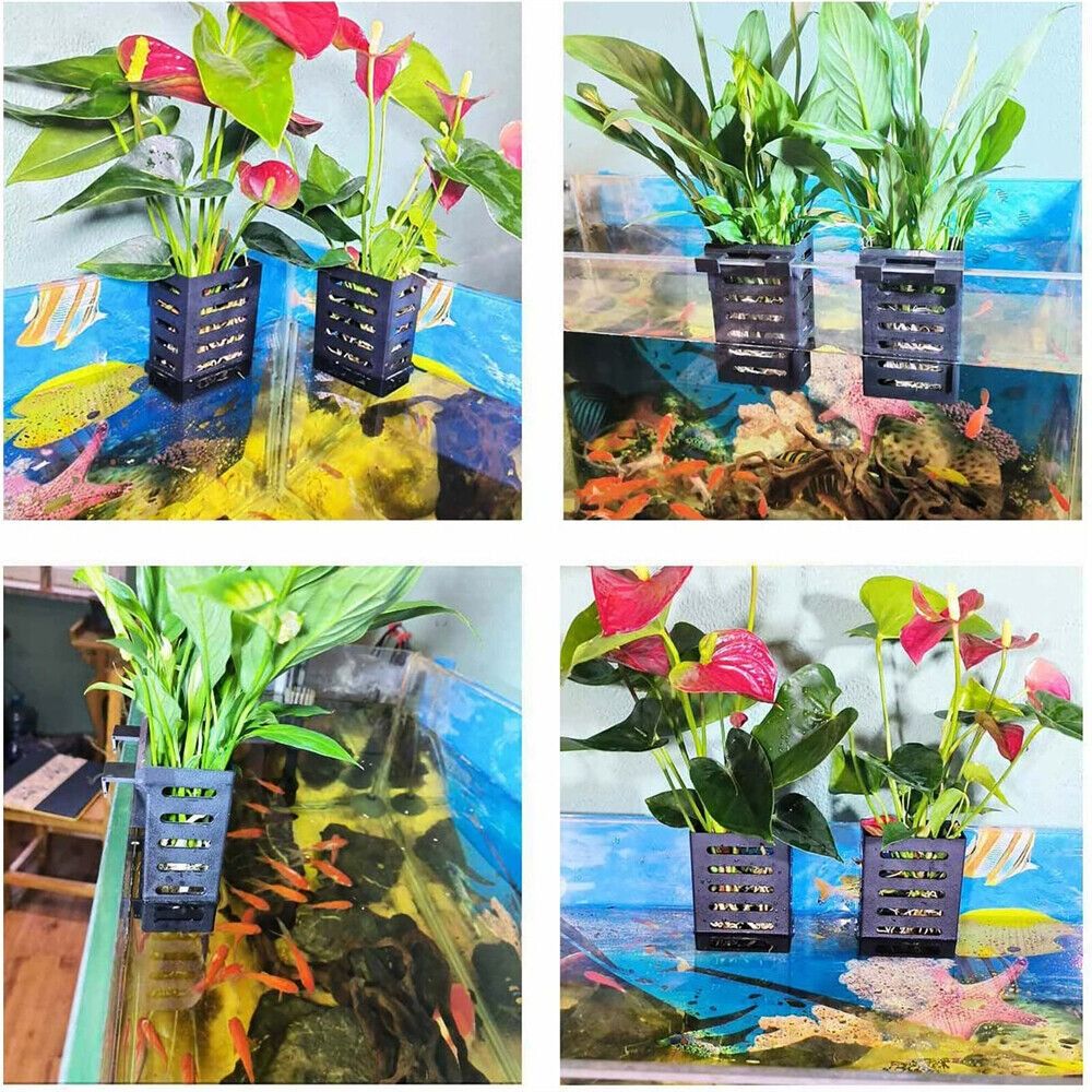 Emersed Plants Aquarium - Suporte para Plantas Aquáticas de Paisagismo,