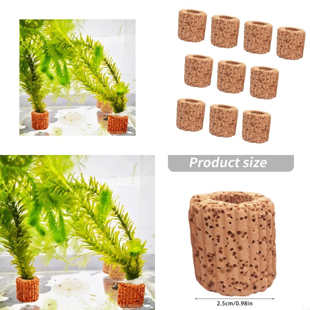 Emersed Plants Aquarium - Suporte plantas aquário f19b, copos plantas