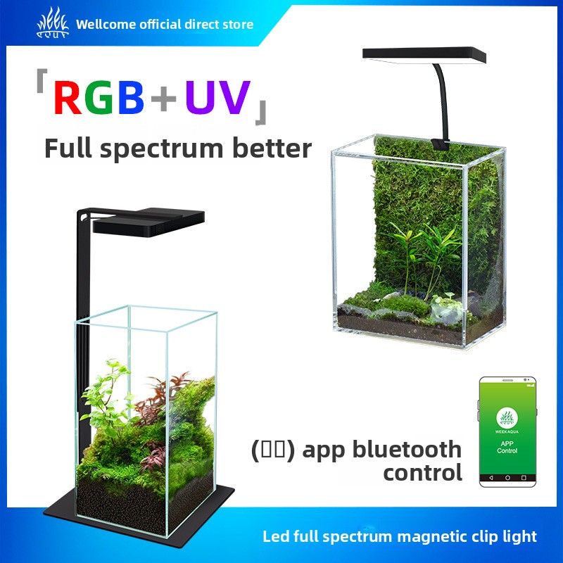Planted Aquarium Jar - Semana aqua mini9pro braçadeira magnética led