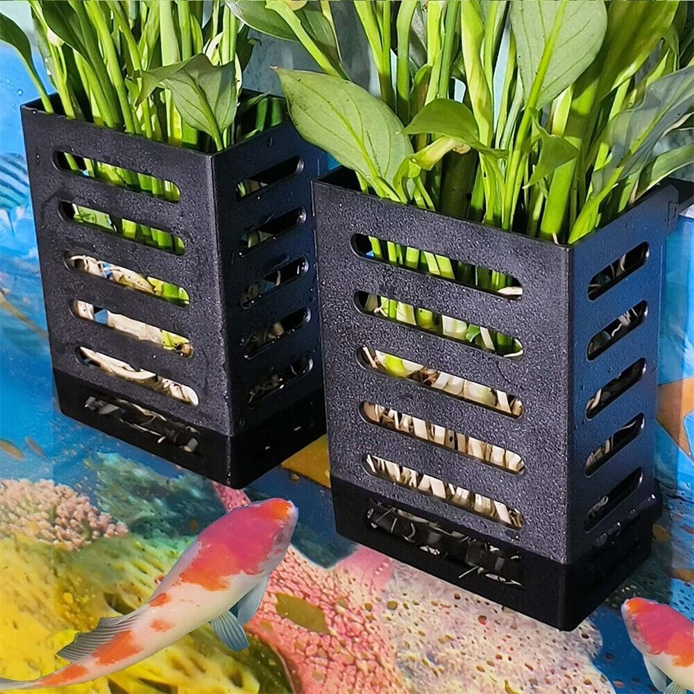 Hidropônico Flor Planta Titula - Emersed Plants Aquarium avaliação e preço