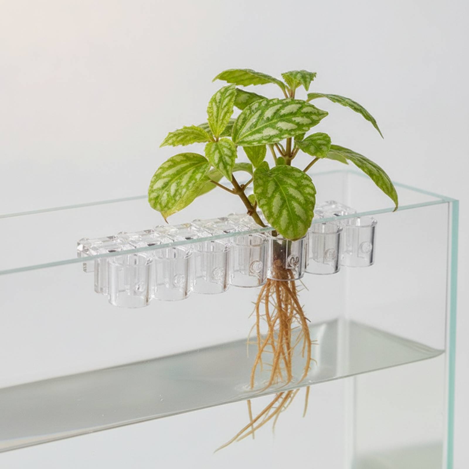 6 Peças de Suporte Hidropônico - Aquarium Plant avaliação e preço