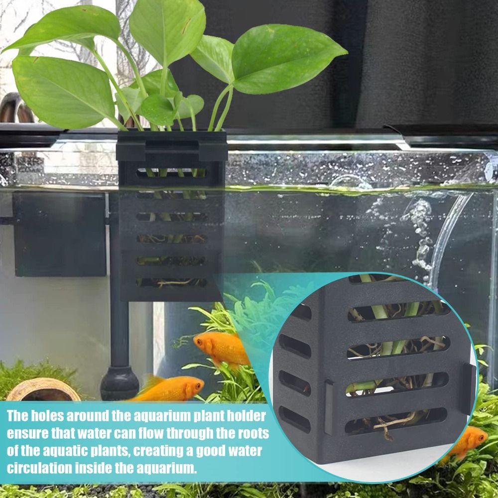 Aquário Fish Tank Titular com  - Emersed Plants Aquarium avaliação e preço
