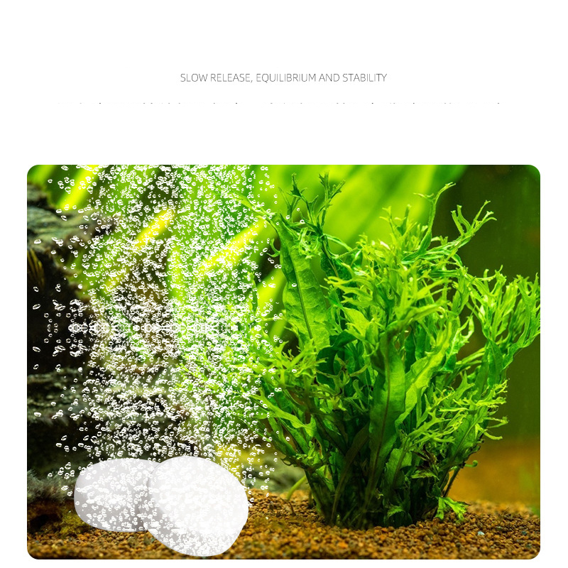 Ista tanque de peixes aquário  - Planted Aquarium Without Fish avaliação e preço