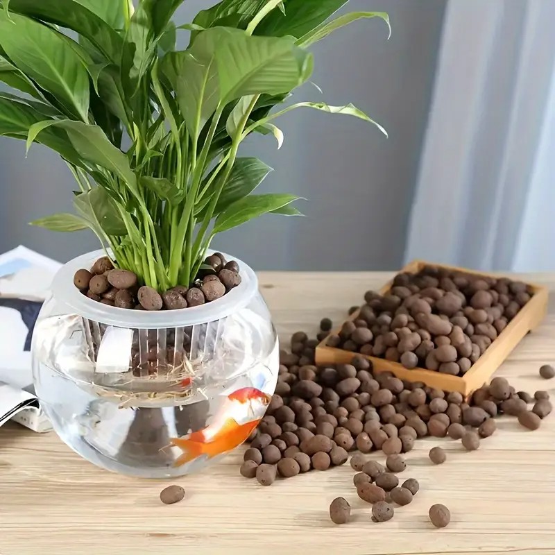 Pelotas de terracota leves e r - Aquarium Plant avaliação e preço