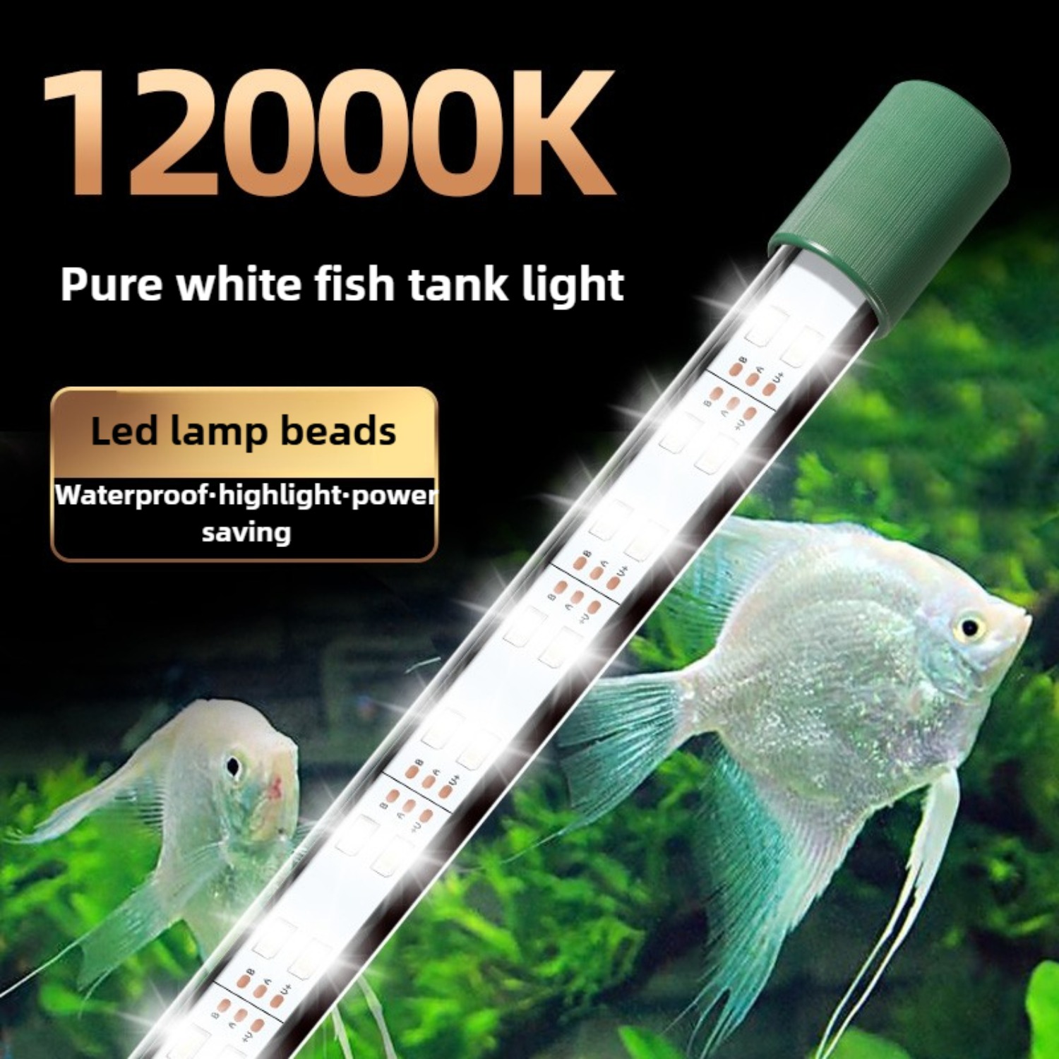 Lâmpada LED para Aquário 25W,  - Planted Aquarium Youtube avaliação e preço