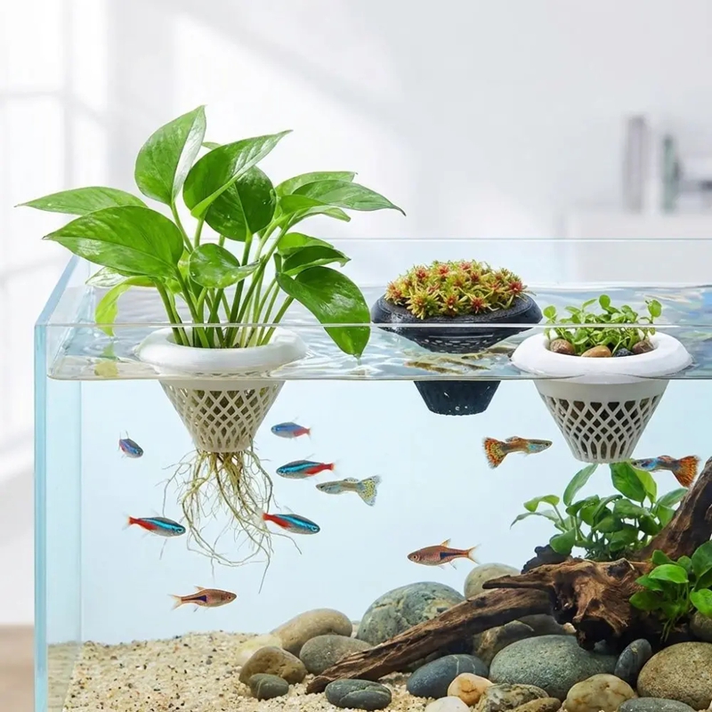 Vaso Flutuante para Plantas de - Planted Aquarium Jar avaliação e preço