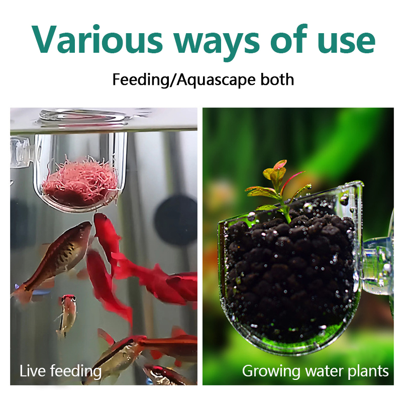 Copo para Plantas Aquáticas de - Aquarium Plant Utensils avaliação e preço