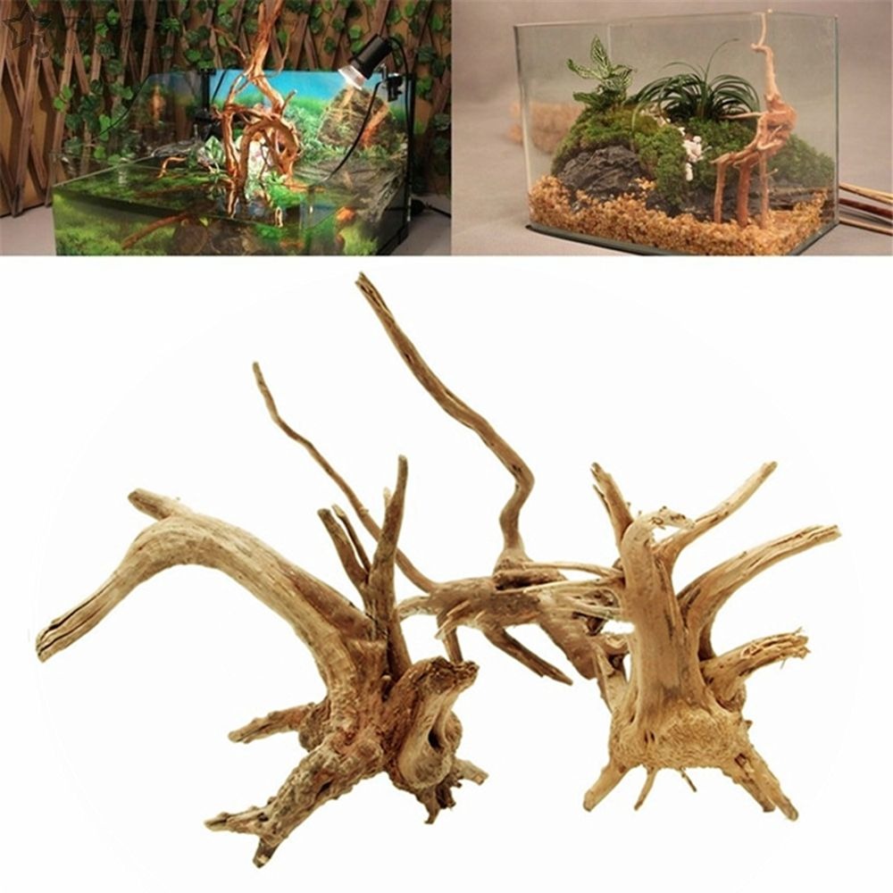 Decorações De Tanque De Peixes - Aquarium Plant Root Tabs avaliação e preço