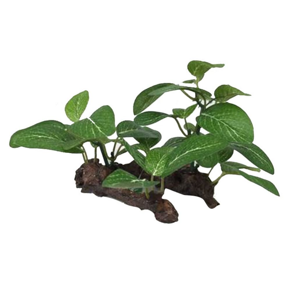 Plástico Criativo para Decoraç - Planted Aquarium Jar avaliação e preço