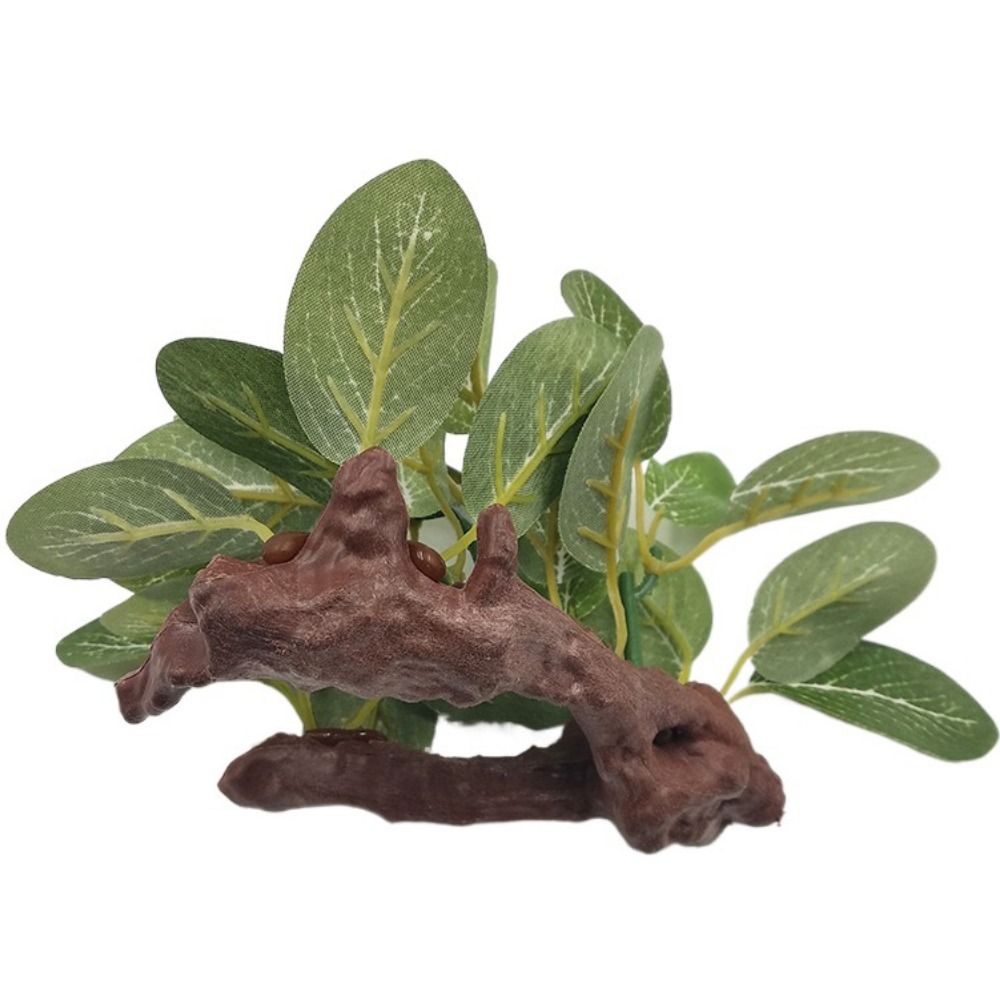 Plástico Criativo para Decoraç - Planted Aquarium Jar avaliação e preço
