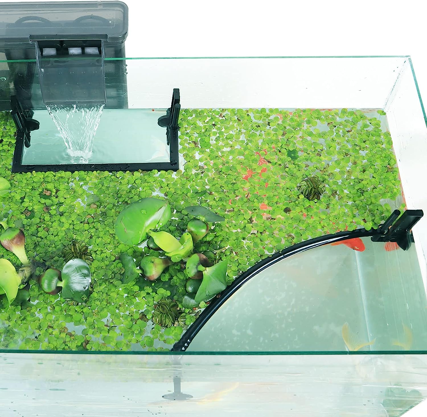 Corral de planta flutuante de  - Planted Aquarium Heater avaliação e preço