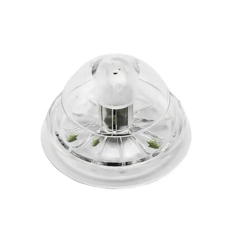 2026 Nova Armadilha de Plástic - Planted Aquarium Tools avaliação e preço