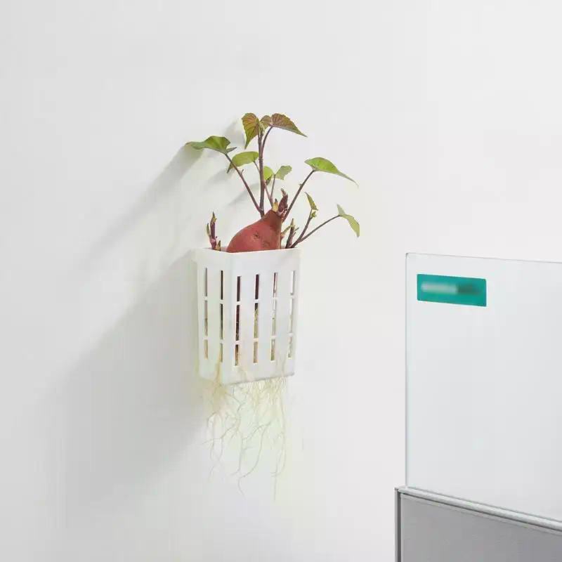 1 Peça Cesto de Suporte Hidrop - Aquarium Plant avaliação e preço