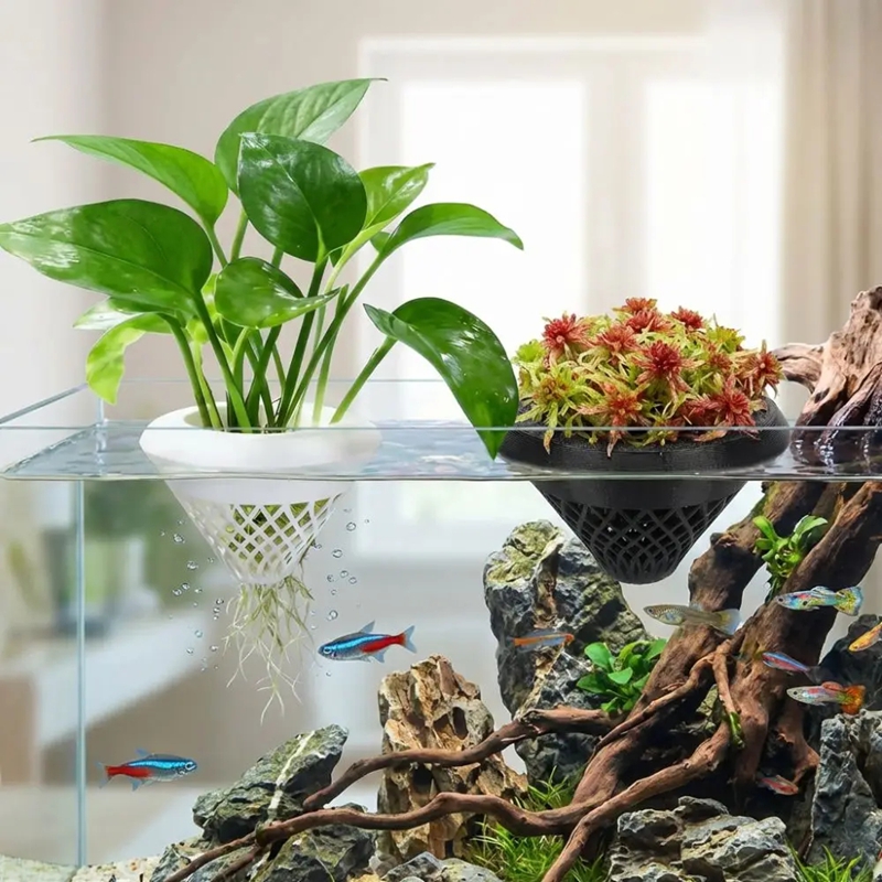 Vaso Flutuante para Plantas de - Planted Aquarium Jar avaliação e preço