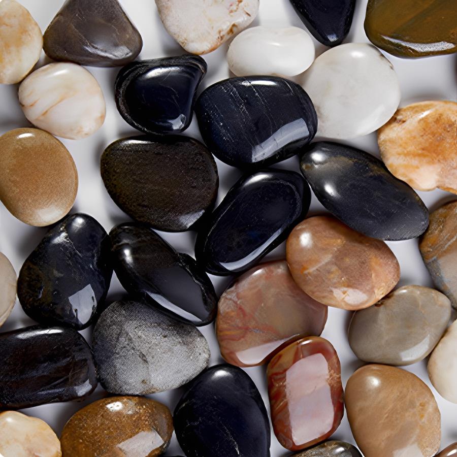 Seixos de Rio Lisos de 300-700 - Aquarium Plant avaliação e preço
