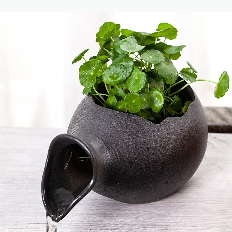 Aquários de peixes de cerâmica - Planted Aquarium Jar avaliação e preço