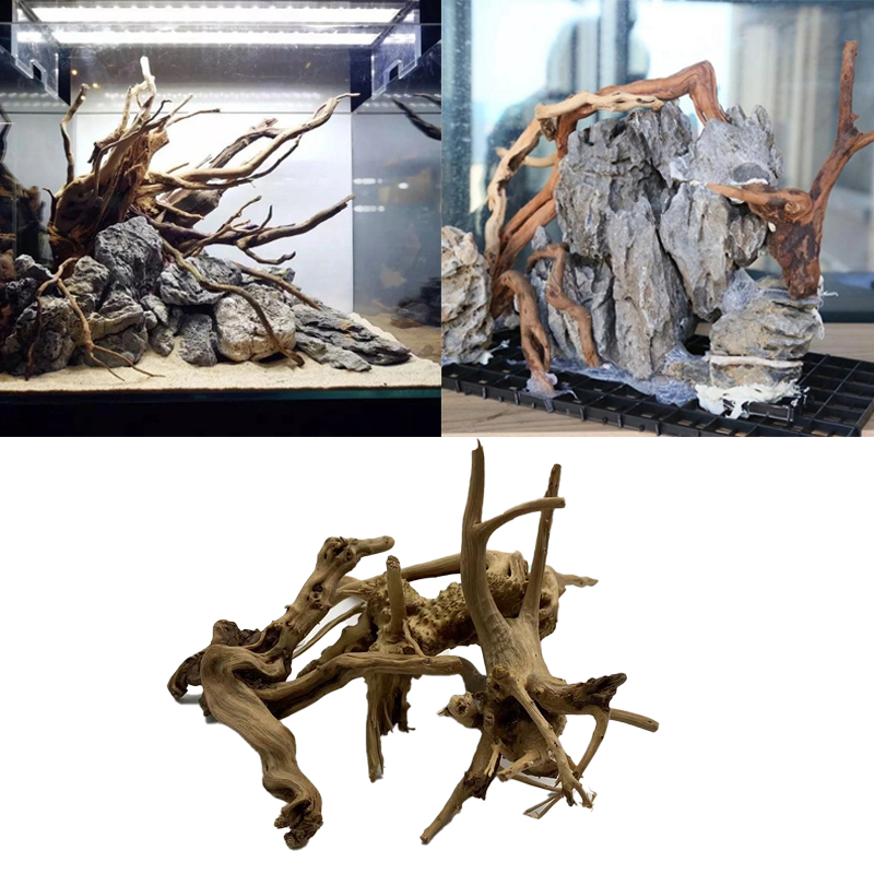 Tronco de árvore natural flutu - Aquarium Plant Root Tabs avaliação e preço