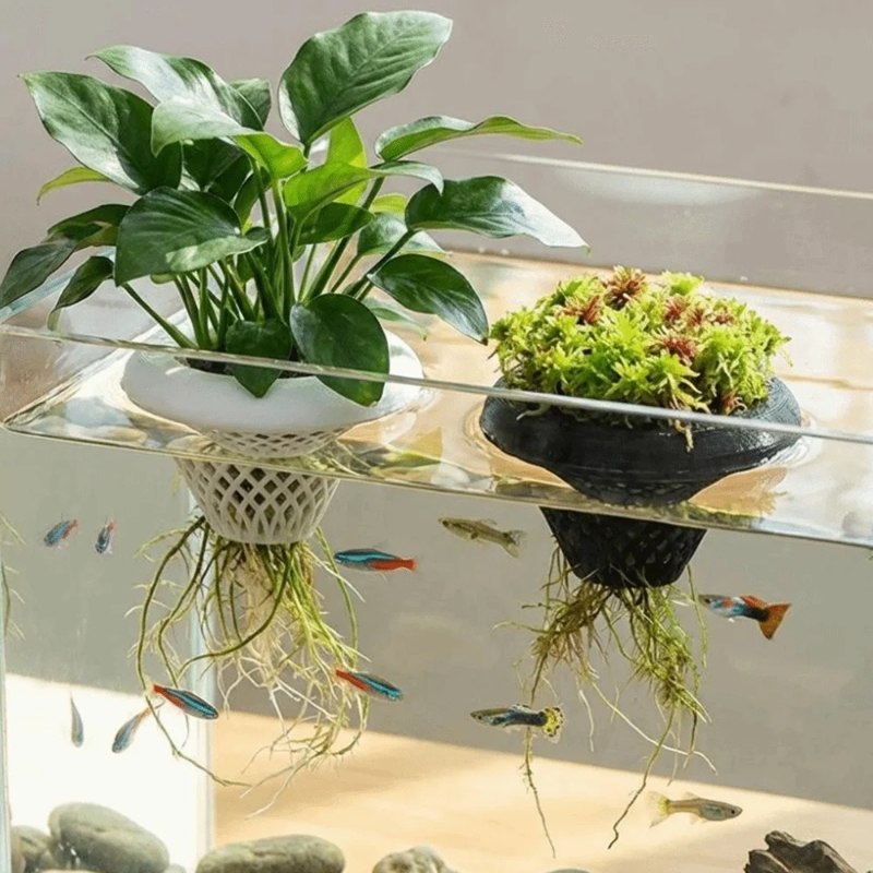Vaso Flutuante para Plantas de - Planted Aquarium Jar avaliação e preço