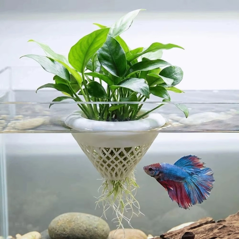 Vaso Flutuante para Plantas de - Planted Aquarium Jar avaliação e preço