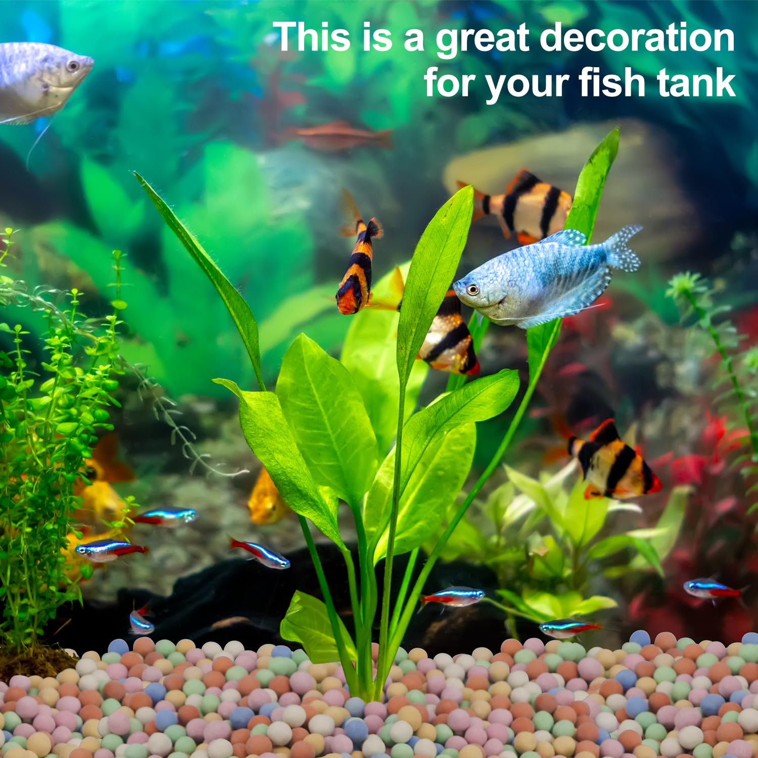 Planta hidropônica decorativa  - Aquarium Plant Vitamins avaliação e preço