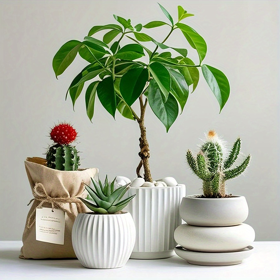 200/400g branco alto polido se - Aquarium Plant avaliação e preço