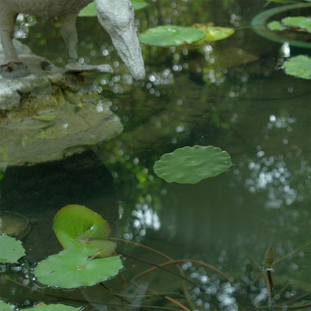 15 Peças de Folhas de Lírio Ar - Aquarium Plant avaliação e preço