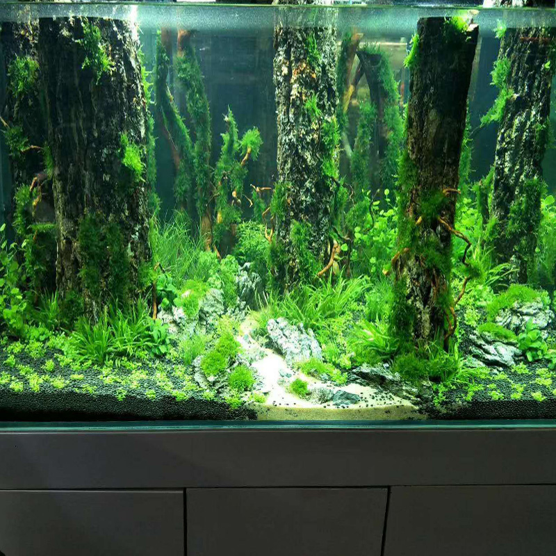 Simulação tronco de árvore afu - Aquarium Plant Root Tabs avaliação e preço