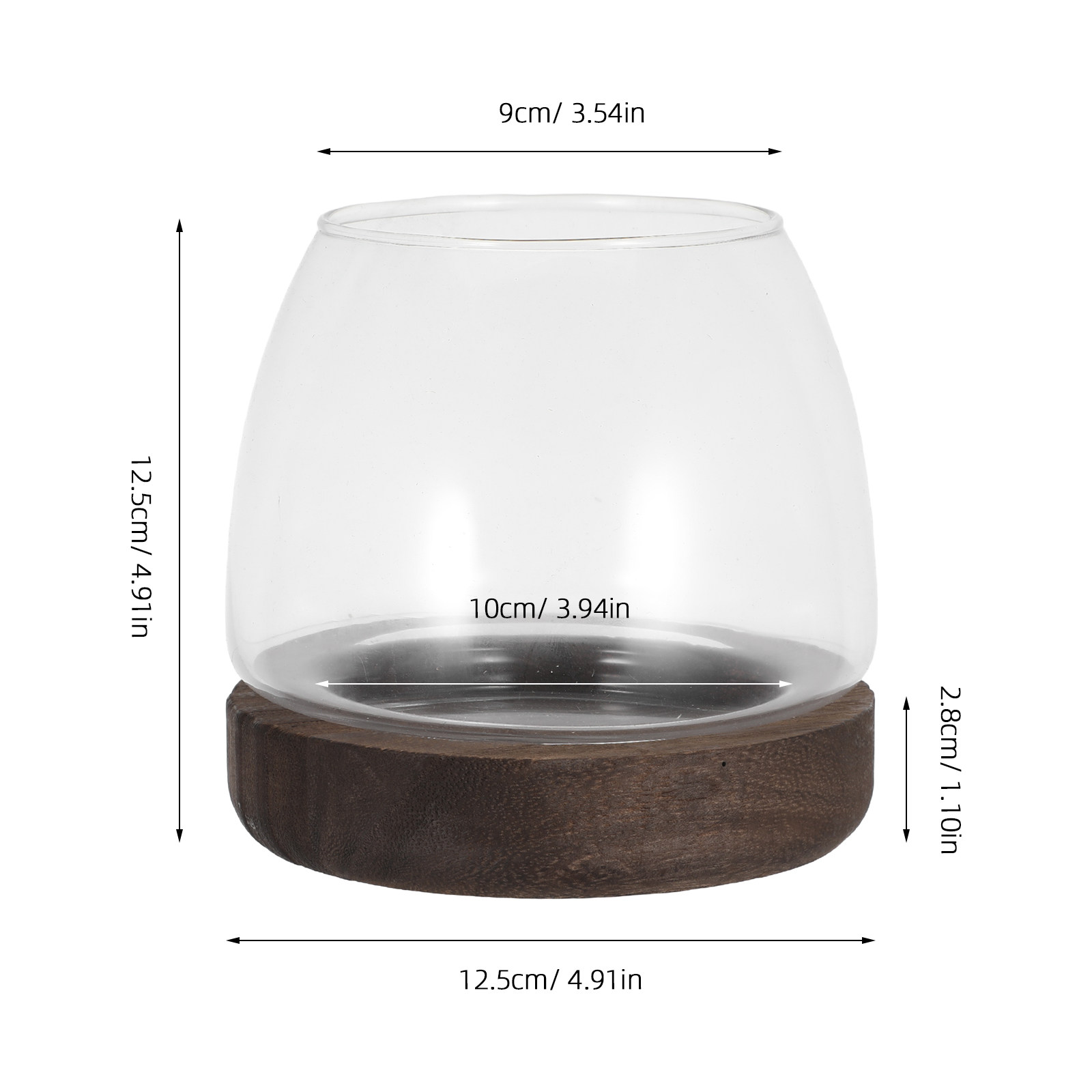 Terrário Hidropônico Redondo d - Planted Aquarium Jar avaliação e preço