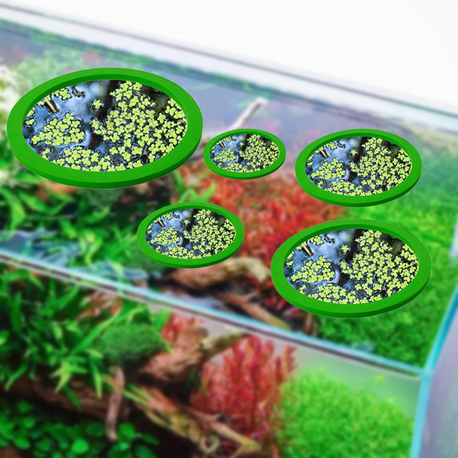 5 pçs eva anel de alimentação  - Aquarium Plant avaliação e preço