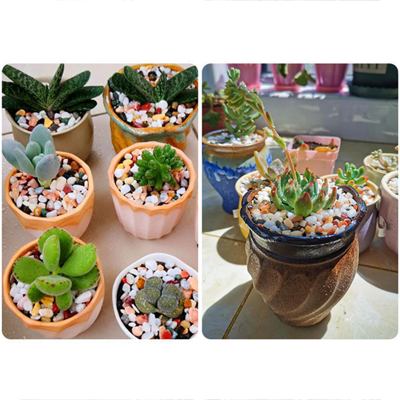 Pedra de cascalho natural 200  - Aquarium Plant Gravel avaliação e preço