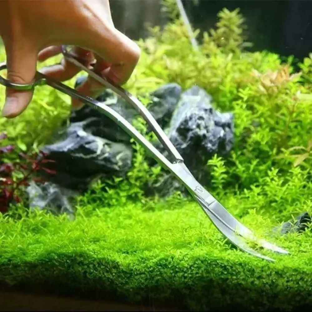 1 Unidade Tesoura de Aço Inoxi - Planted Aquarium Tools avaliação e preço