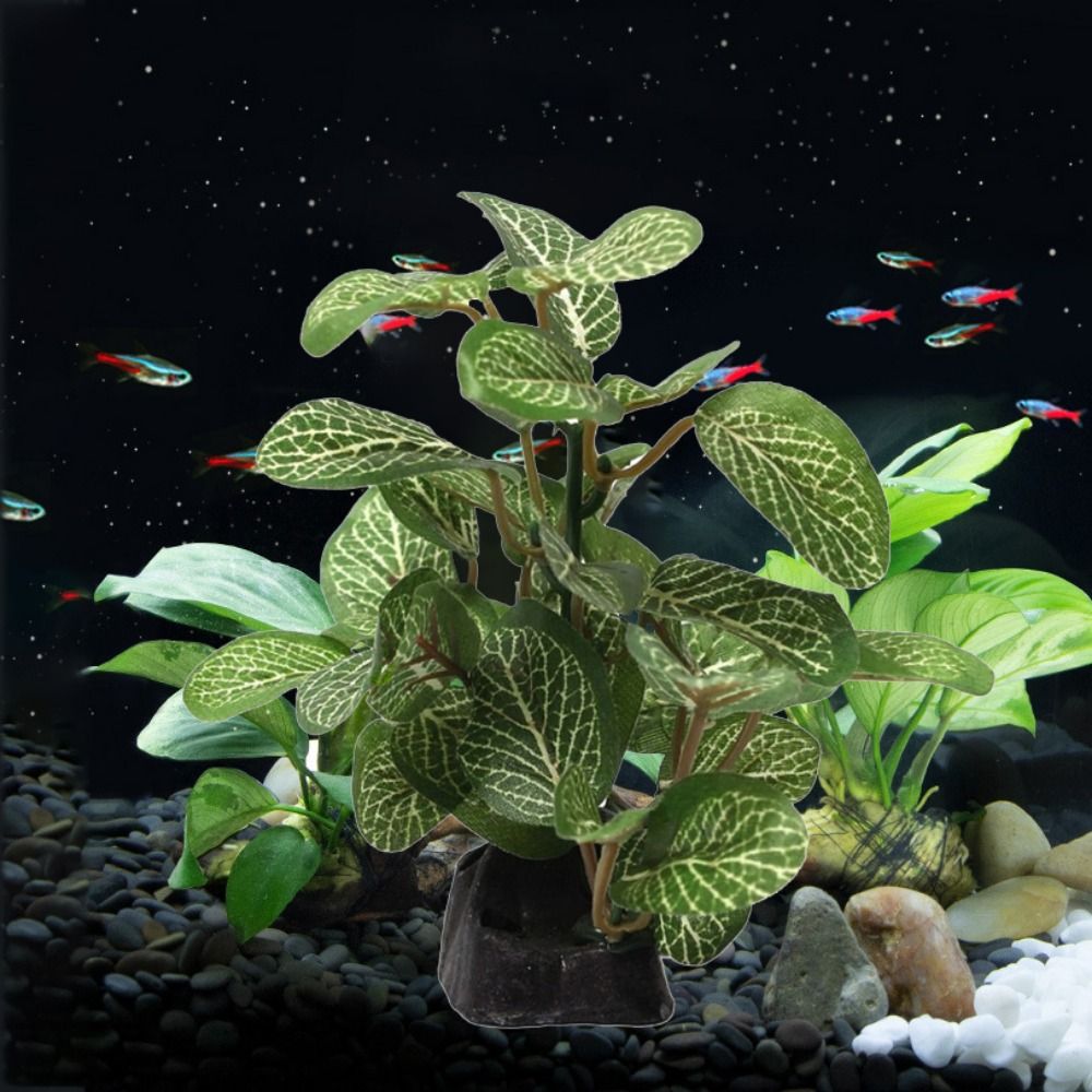 Decorativo de seda realista su - Planted Aquarium Jar avaliação e preço