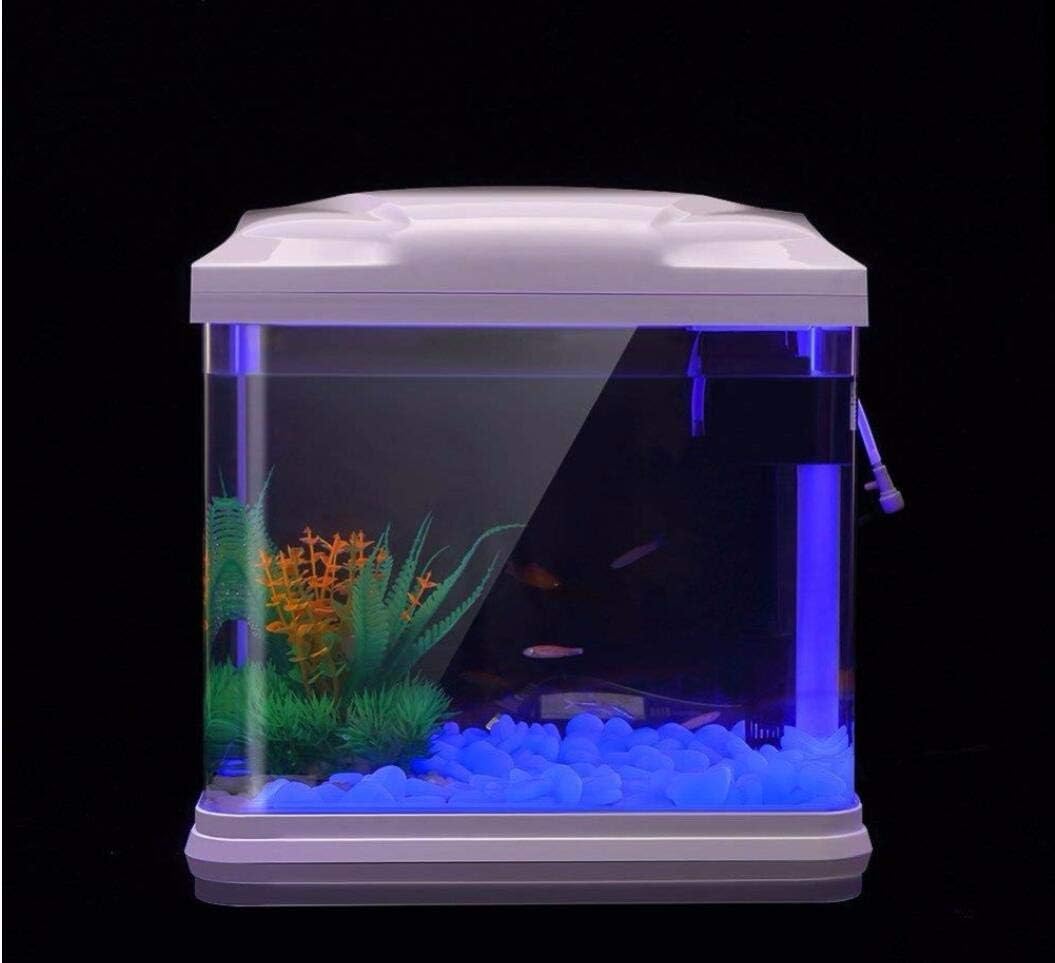 Rochas do tanque de peixes bri - Aquarium Plant avaliação e preço