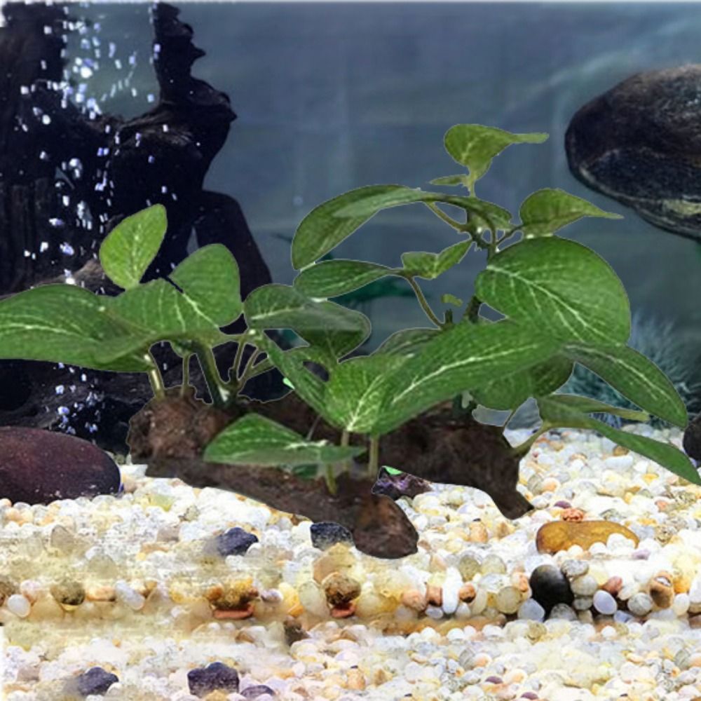 Plástico de seda verde para de - Planted Aquarium Jar avaliação e preço