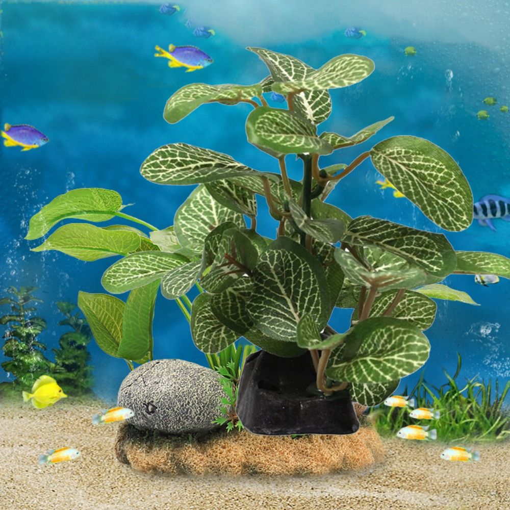 Plástico de seda verde para de - Planted Aquarium Jar avaliação e preço