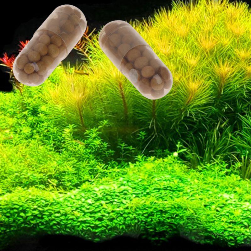 Qx2e aquário planta viva ferti - Aquarium Plant Root Tabs avaliação e preço