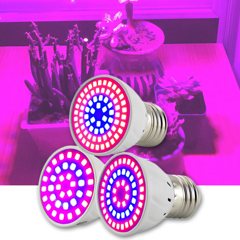 2/3 cabeça led planta crescer  - Aquarium Plant Root Tabs avaliação e preço
