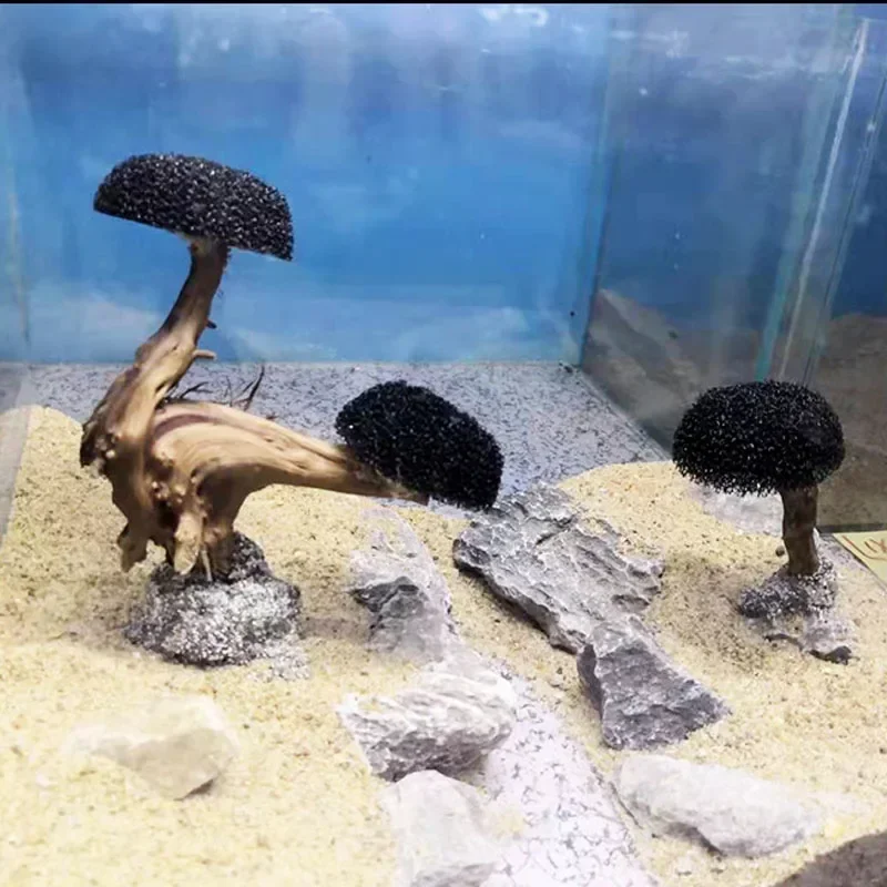 Tanque de peixes planta musgo  - Planted Aquarium Without Fish avaliação e preço