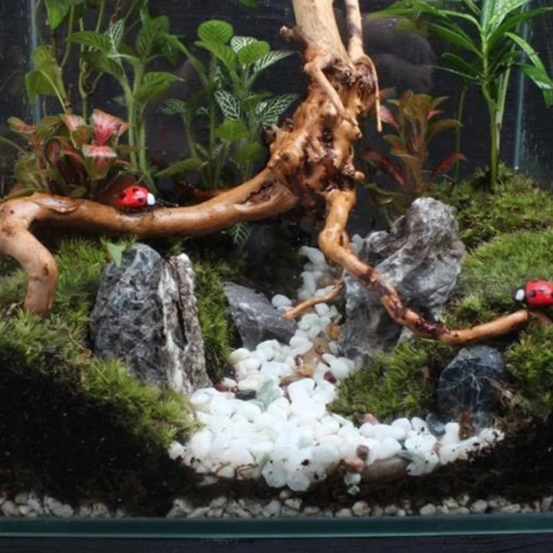 Tronco de árvore natural, made - Aquarium Plant Root Tabs avaliação e preço