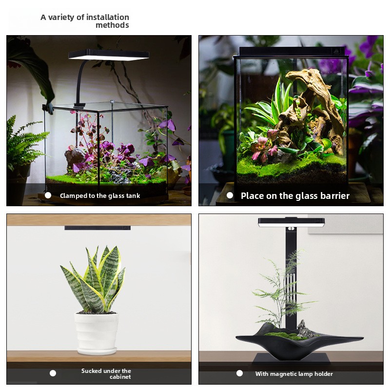 Semana aqua mini9pro braçadeir - Planted Aquarium Jar avaliação e preço